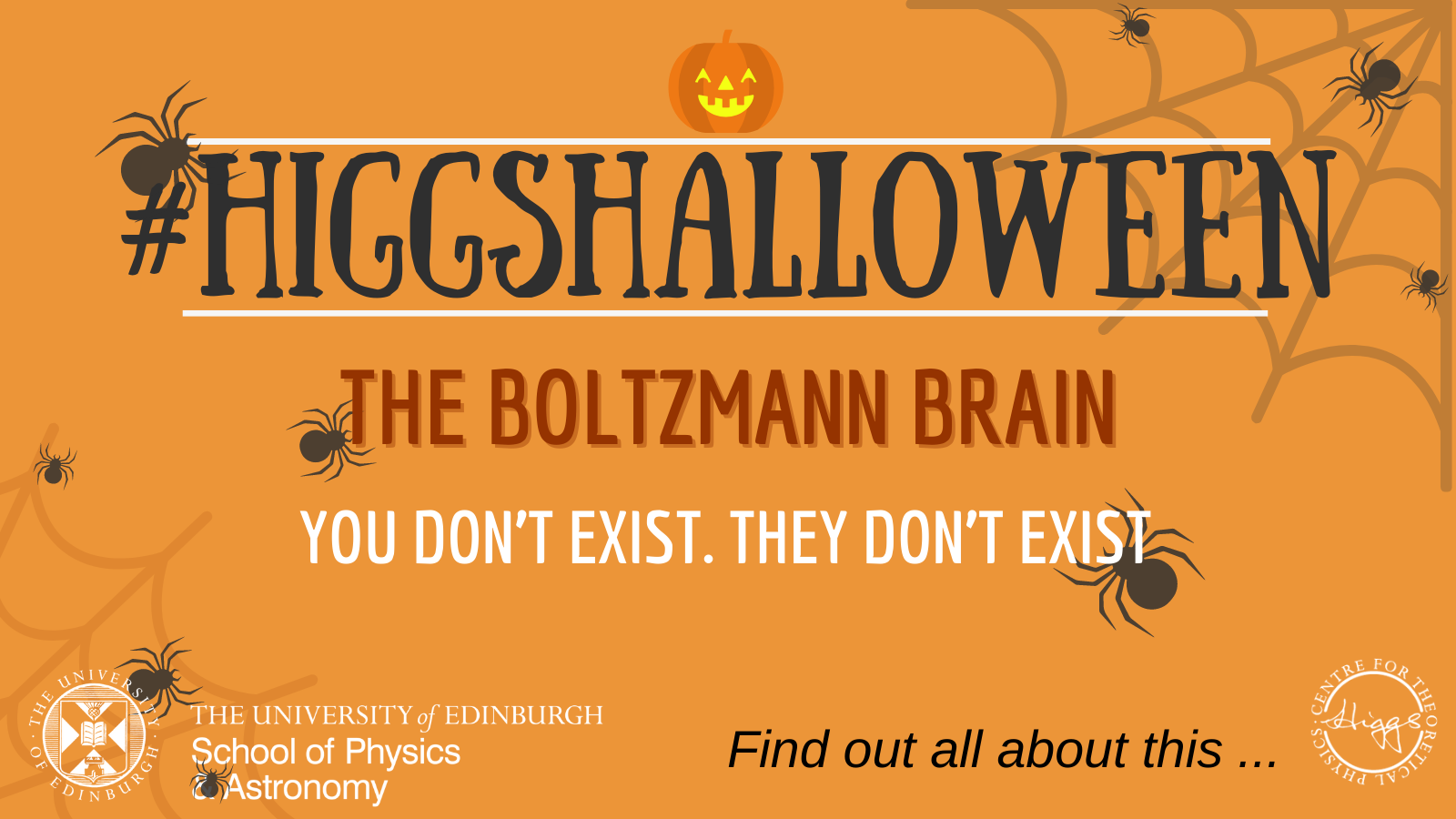 The Boltzmann Brain